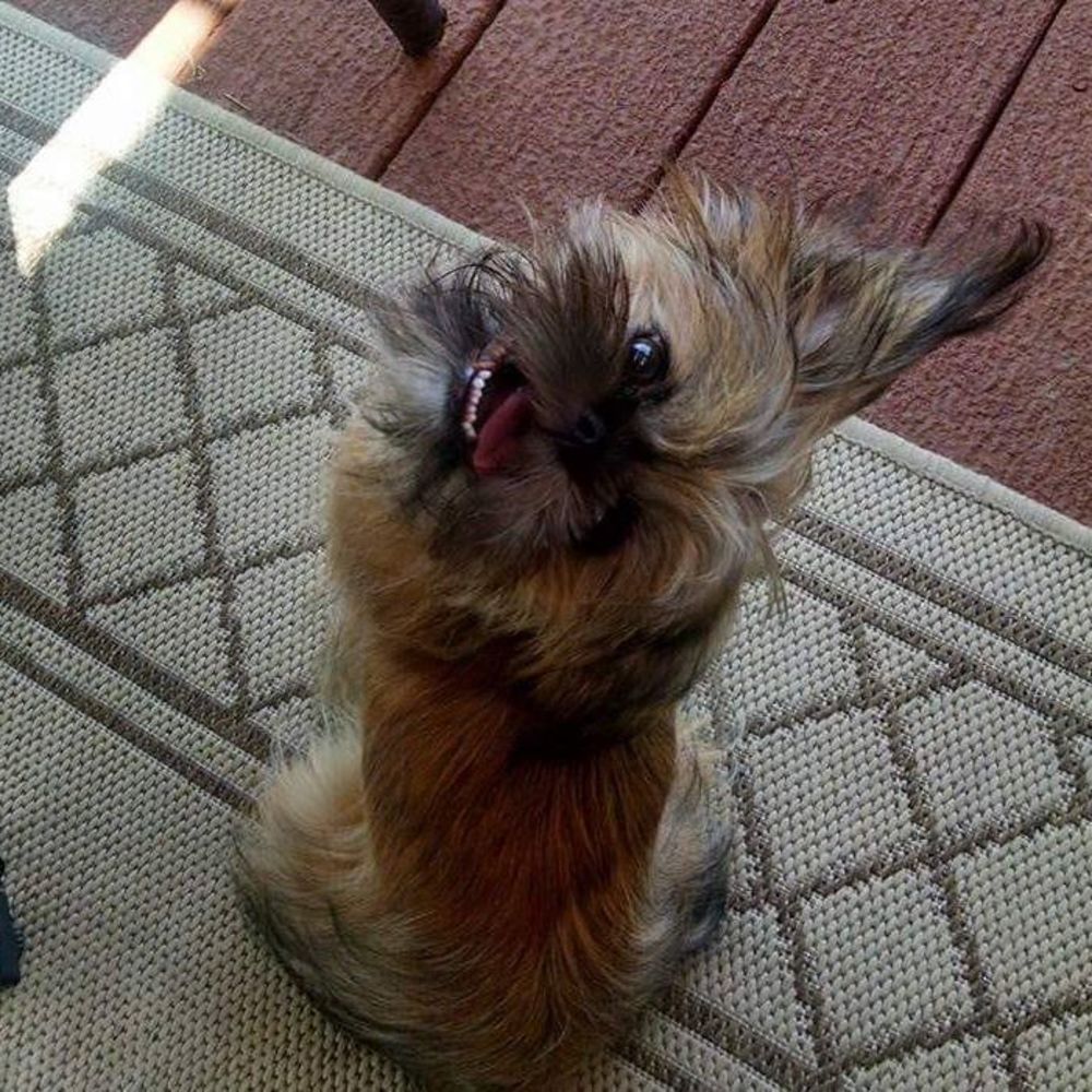 Meet your Posher, Keri